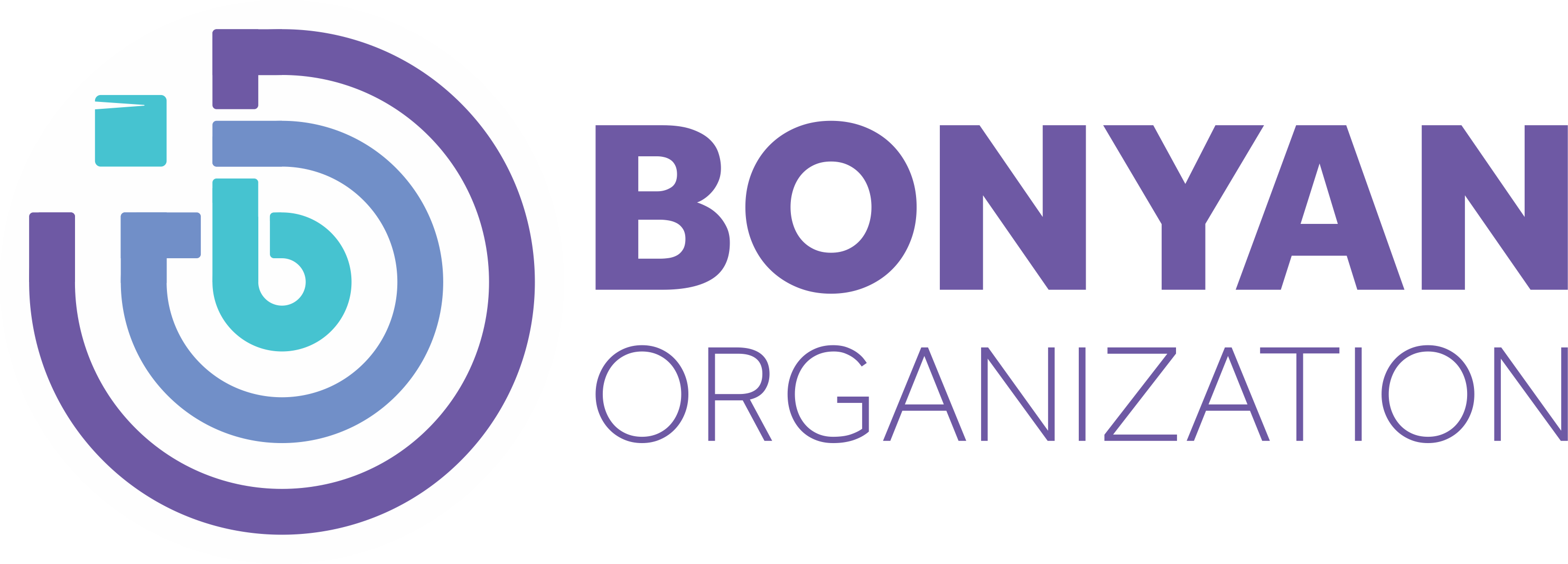 Head Of Programs Bonyan Organization
